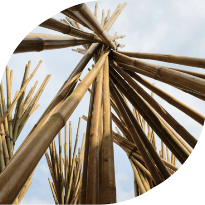 Bamboo Stakes Manufacturer 44