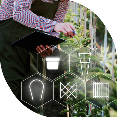 Bamboo Stakes Manufacturer 45