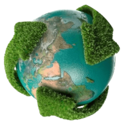 Bamboo Stakes Manufacturer 46